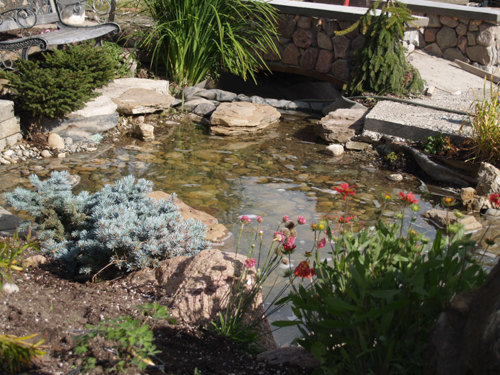 landscaping5